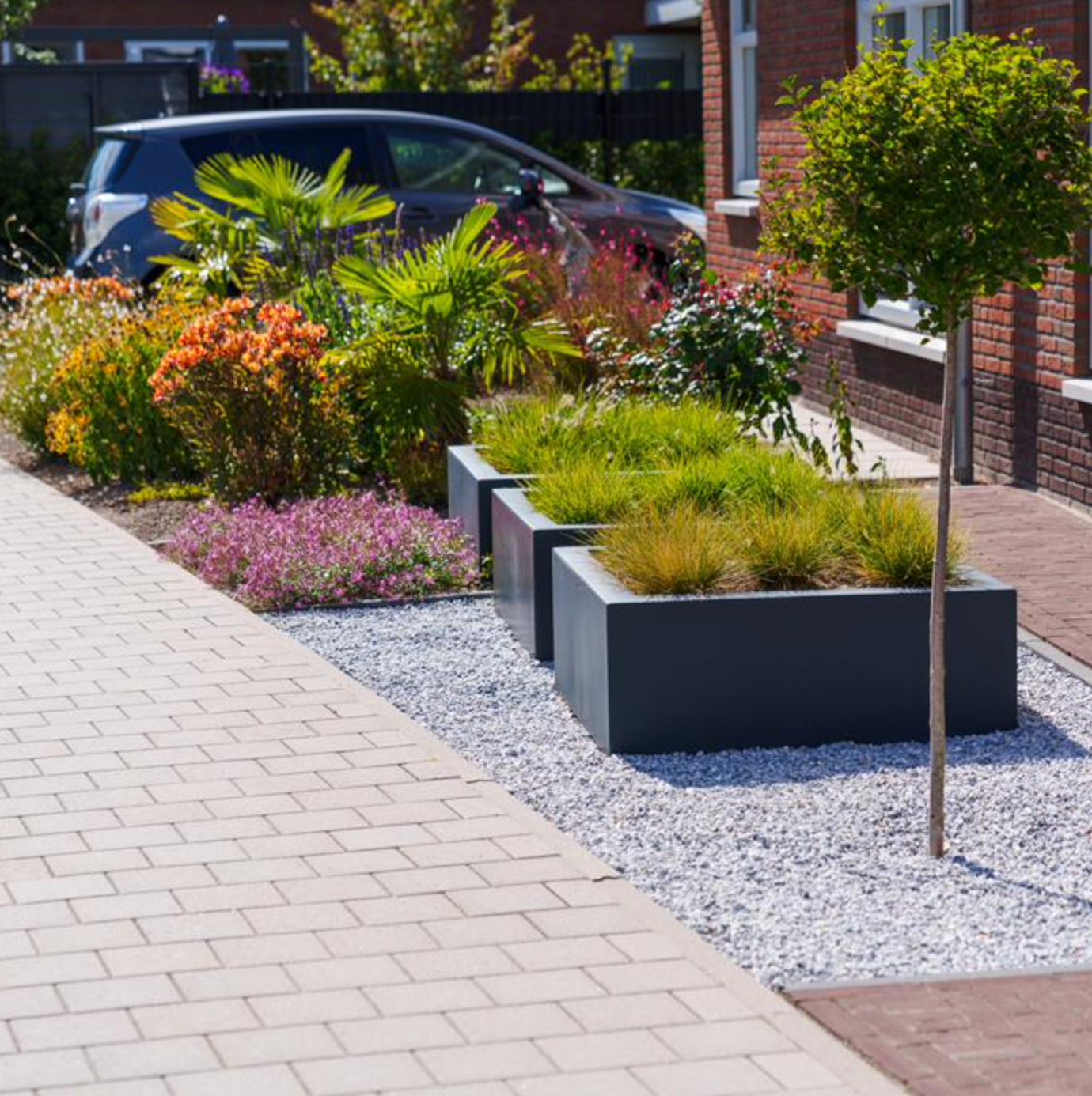 three square black fiberglass planters in row, planted with grasses