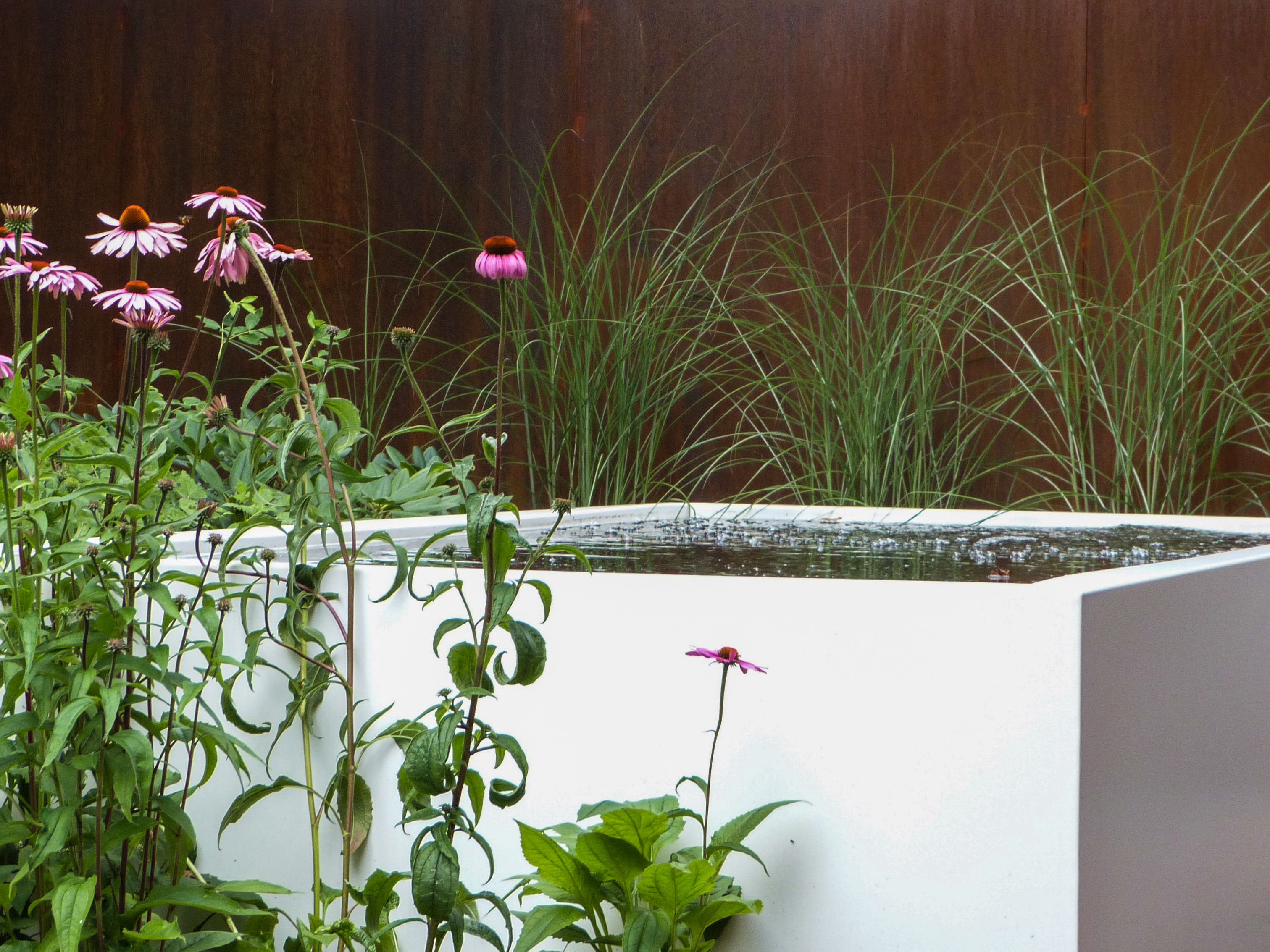 white aluminium pond filled with water